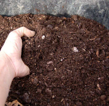 terreau compost pour refaire pelouse