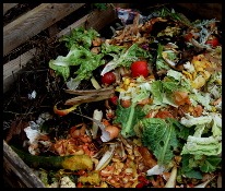 comment enrichir sa terre - dechets-compost